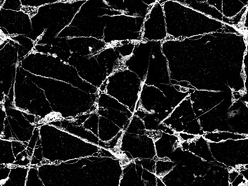 black and white scratch texture (ID:ffach170561)