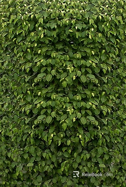 Plant wall texture