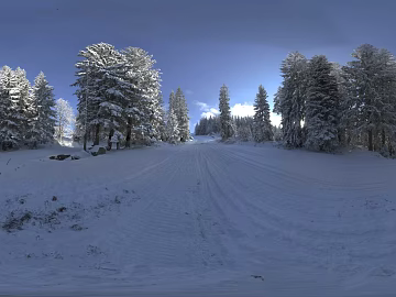 Outdoor Winter Snow Forest HDR texture (ID:ffabg43231)
