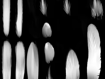 Black and White Feather Brush texture (ID:ffaeh385726)