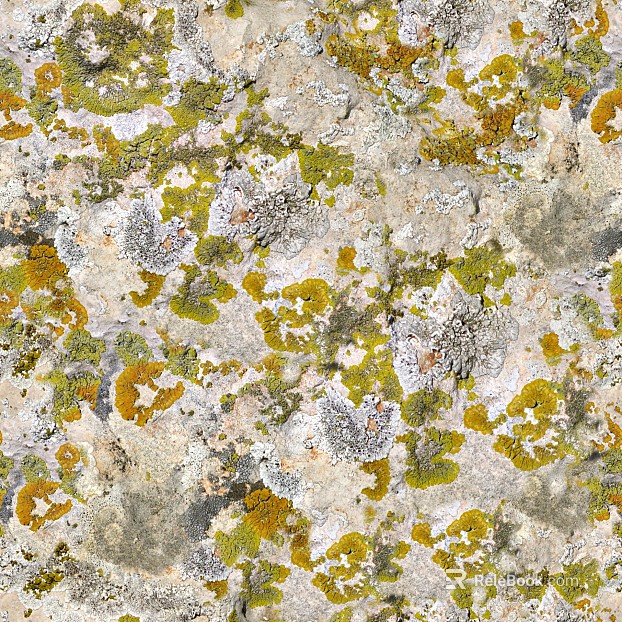 moss texture