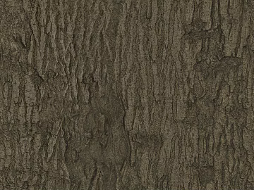 bark texture (ID:ffadg40656)