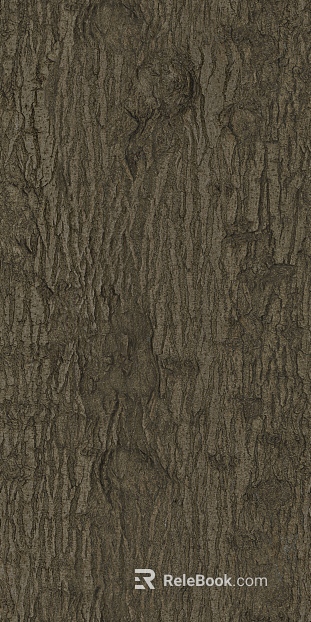 bark texture
