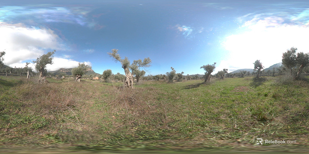 Outdoor Country Lawn Daytime HDR texture