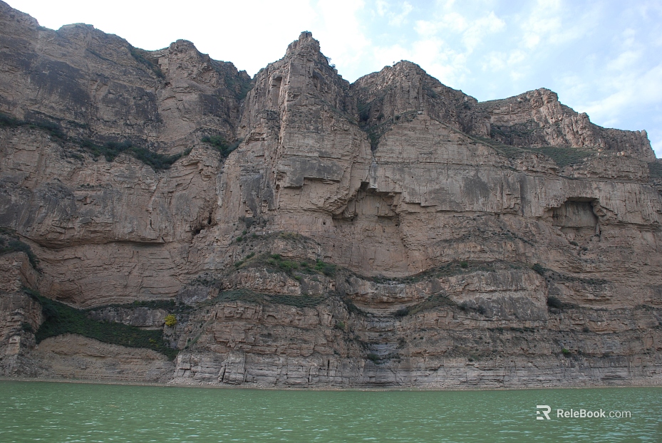Wild Scenery texture