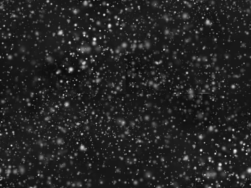 Black and white dust texture (ID:ffach301561)