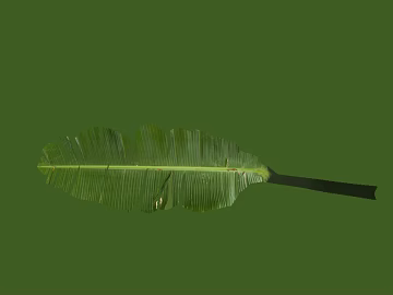 leaves texture (ID:ffajg10683)