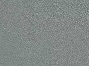 Coarse-grain leather texture (ID:ffaef3653)