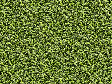 Turf texture (ID:ffacg23168)