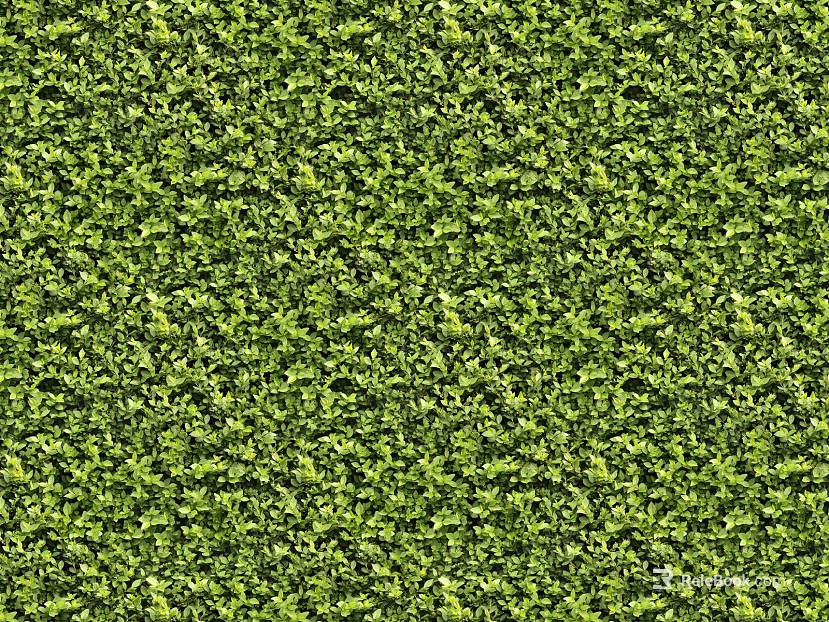 Turf texture