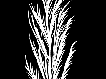 black and white painting texture (ID:ffajg52589)