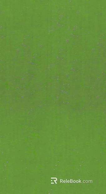 Paint texture
