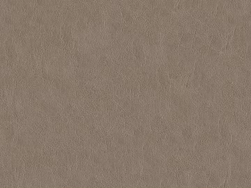 fine grain leather texture (ID:ffabg62234)