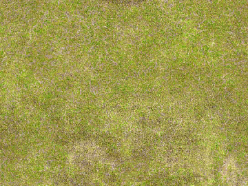 Turf texture (ID:ffajg99624)