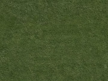 Turf texture (ID:ffacg39370)
