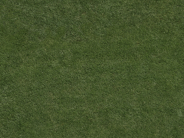 Turf texture (ID:ffacg39370)