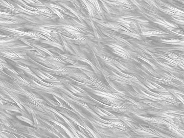 Highlight Mask texture (ID:ffaeg36096)