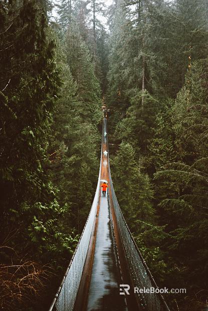 Wild Scenery texture