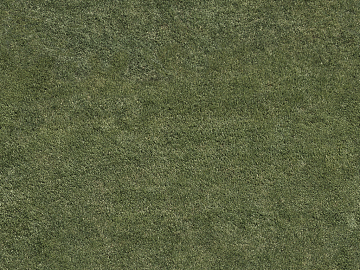 Turf texture (ID:ffajg02206)