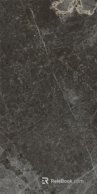 Mona Lisa Marble Rough Black Marble Outdoor texture