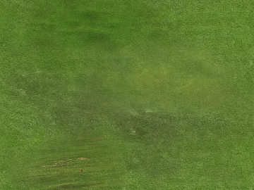 Turf texture (ID:ffaeg72112)