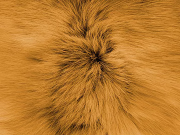 animal fur texture (ID:ffabg57331)
