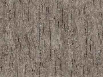 bark texture (ID:ffabg69354)
