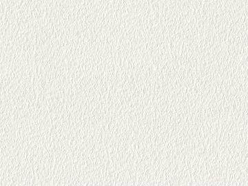 cream white diatom mud texture (ID:ffach048528)