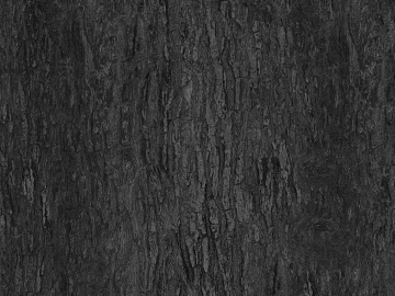 bark texture (ID:ffaag80880)