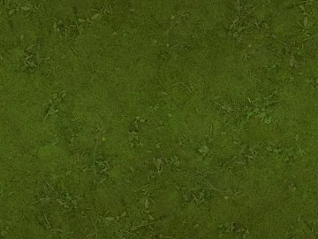 Turf texture (ID:ffach014666)
