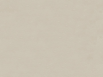 fine grain leather texture (ID:ffajg59254)