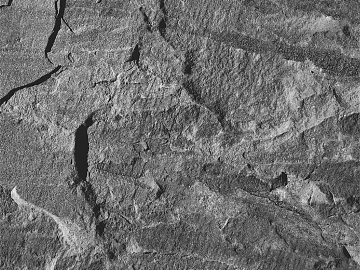 Rock texture (ID:ffaeg22691)
