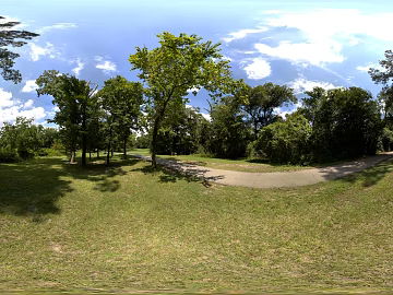 Wildlife Park Lawn Daytime HDR texture (ID:ffach558514)