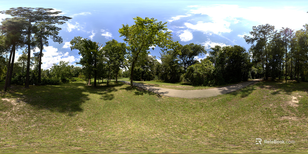 Wildlife Park Lawn Daytime HDR texture