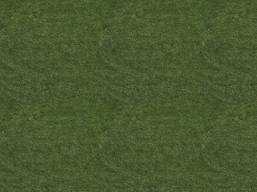 Turf texture (ID:ffaeg60244)