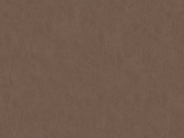 fine grain leather texture (ID:ffagg86245)