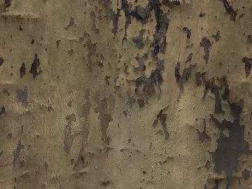 bark texture (ID:ffajg07327)