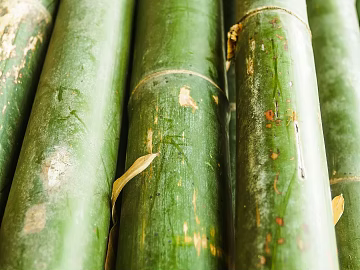 Bamboo texture (ID:ffabg51611)