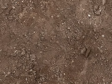 Mud texture (ID:ffach513256)