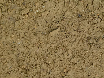 Mud texture (ID:ffabg89219)