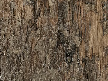 bark texture (ID:ffajg75935)