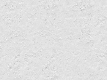 White textured paint for interior walls 3d model