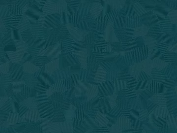 geometric carpet texture (ID:ffacg50011)