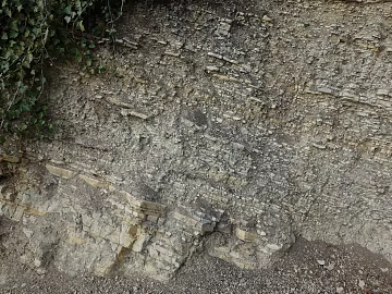 mountain rock wall texture (ID:ffaeg38273)