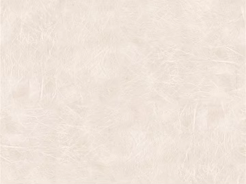 fine grain leather texture (ID:ffagg10726)