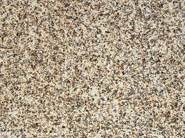 granite venus ginma granite texture (ID:ffajg53071)