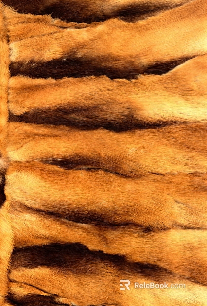 Animal Blanket texture