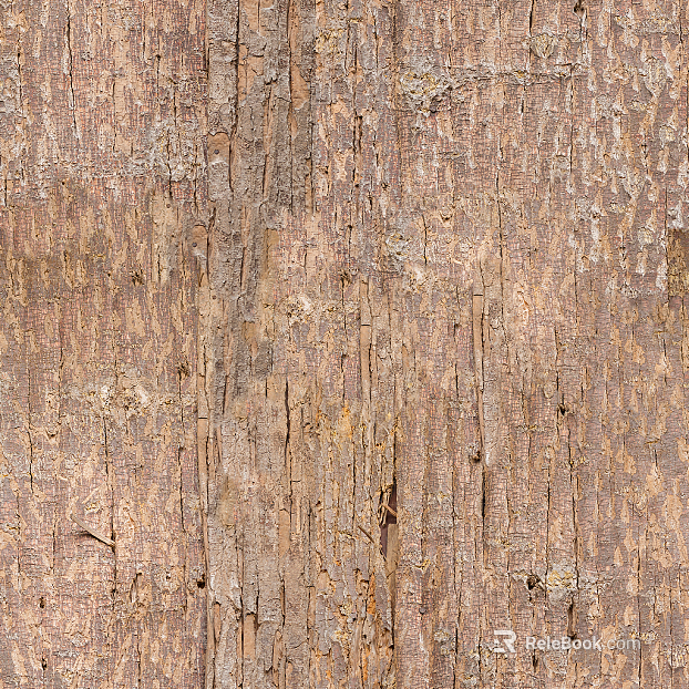 bark trunk texture
