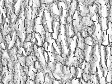 Black and White Bump texture (ID:ffaag10640)