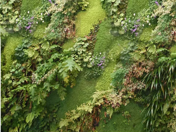 Plants texture (ID:ffaeg89905)